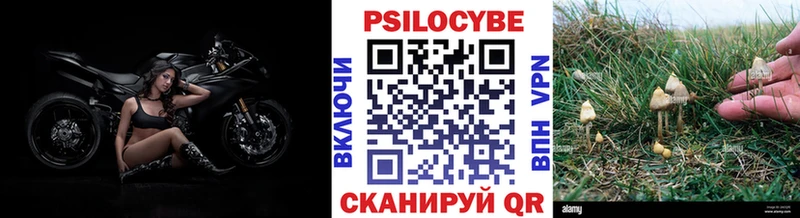 закладка  Нижний Ломов  Псилоцибиновые грибы мицелий 